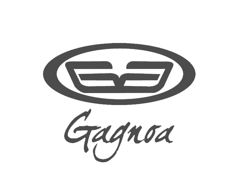 Gagnoa